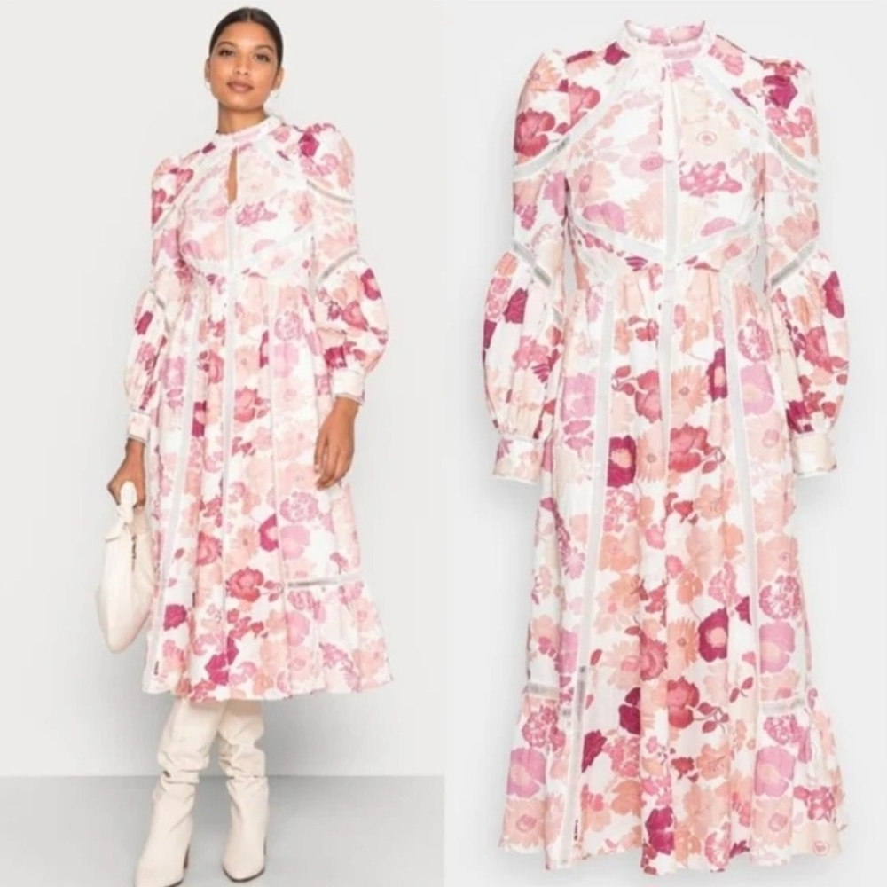 Ted Baker Rose A-line Dress with Bishop Sleeves and Mock Neck
